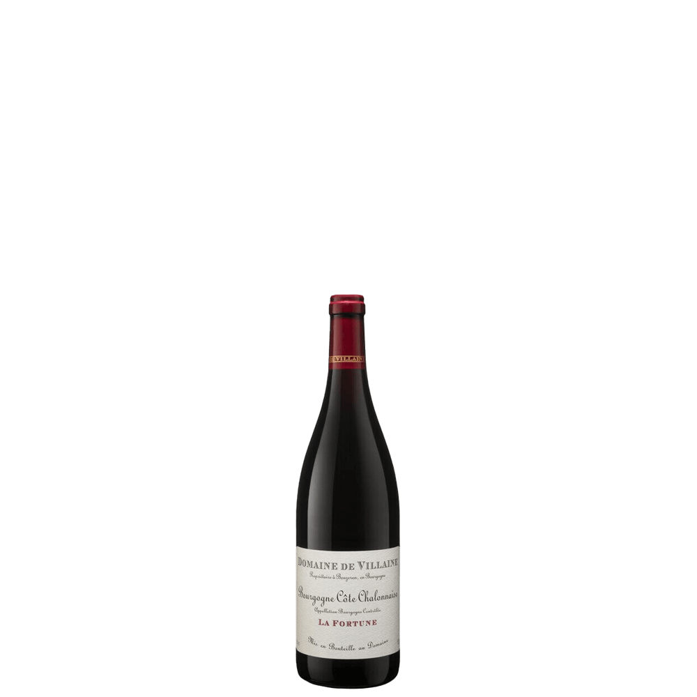Côte Chalonnaise La Fortune 2019 (Domaine Aubert & Paméla de Villaine)