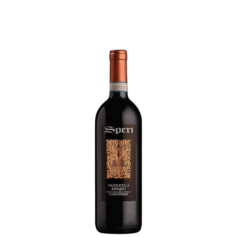 Valpolicella Ripasso Classico Superiore 2020 (Speri)