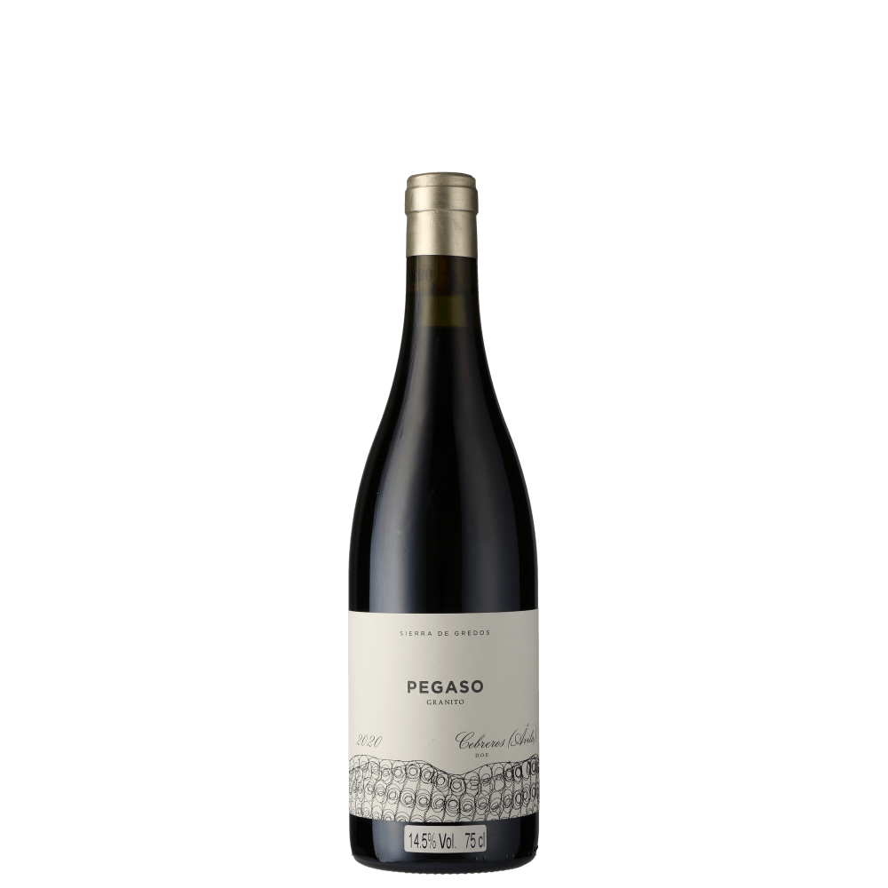 Pegaso Granito 2020 (Telmo Rodriguez)