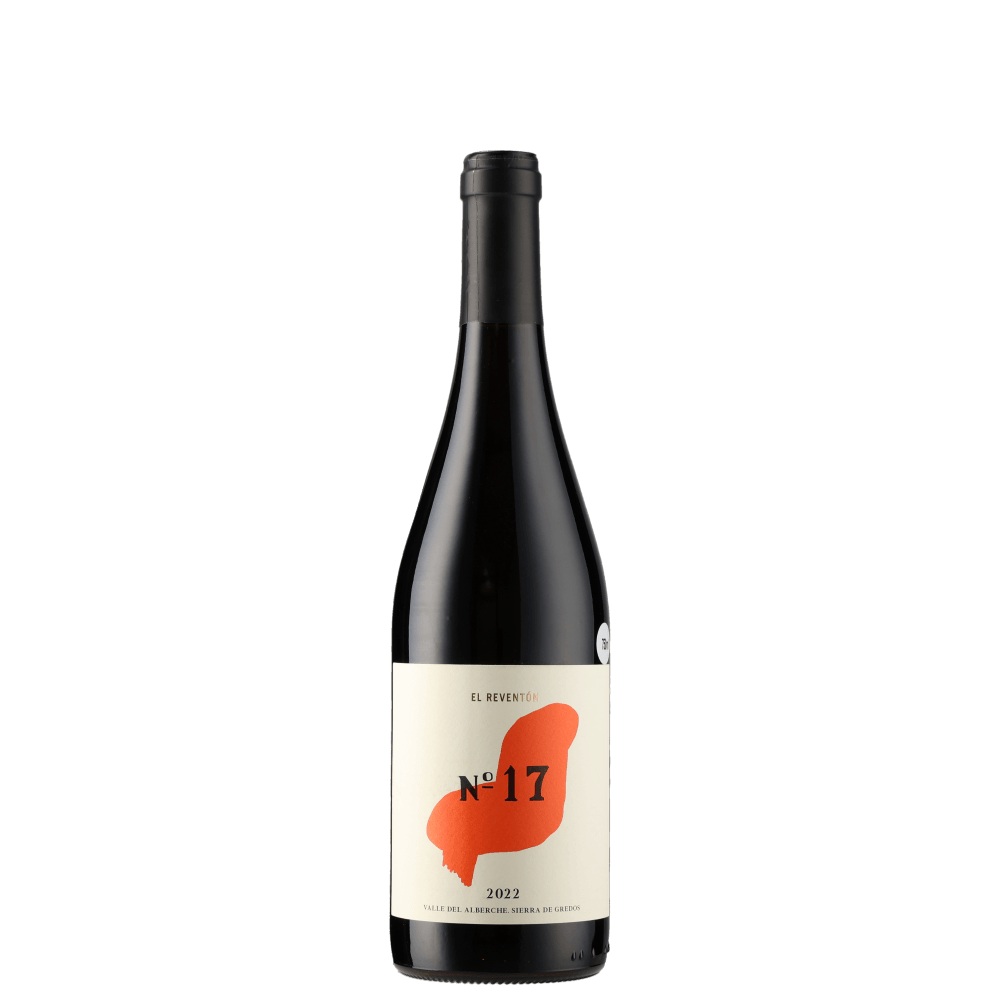 Nº 17 2022 (El Reventón - Alejandro Vigil)