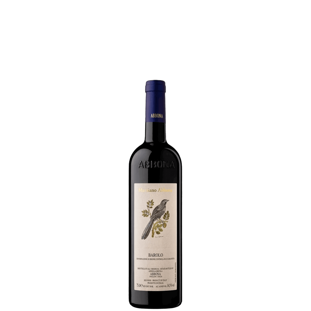 Barolo 2020 (Marziano Abbona)