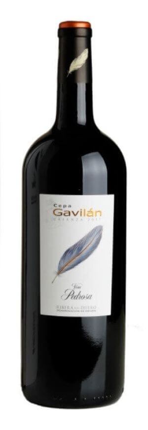 Cepa Gavilán Crianza 2020 - Magnum (Pérez Pascuas)