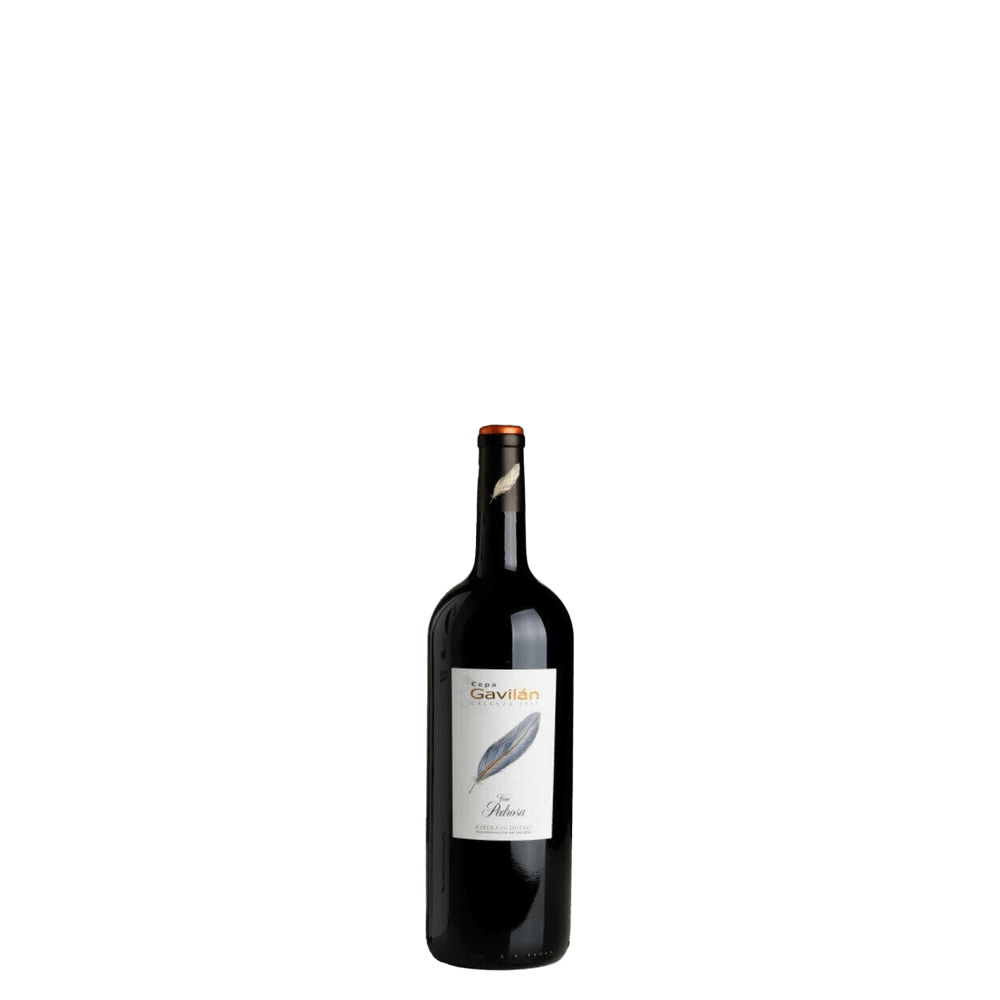 Cepa Gavilán Crianza 2020 - Magnum (Pérez Pascuas)