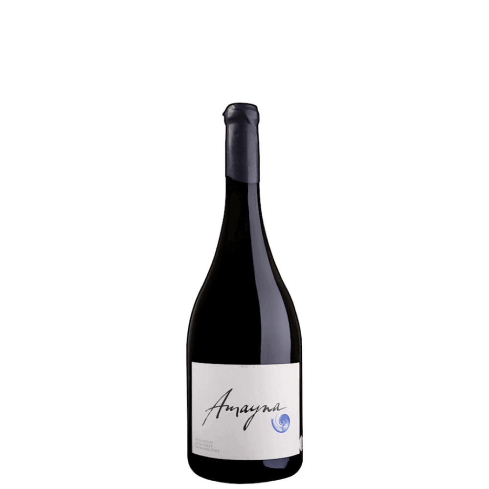 Amayna Pinot Noir 2022 - Magnum (Garcés Silva Family Vineyards - Amayna, Boya)