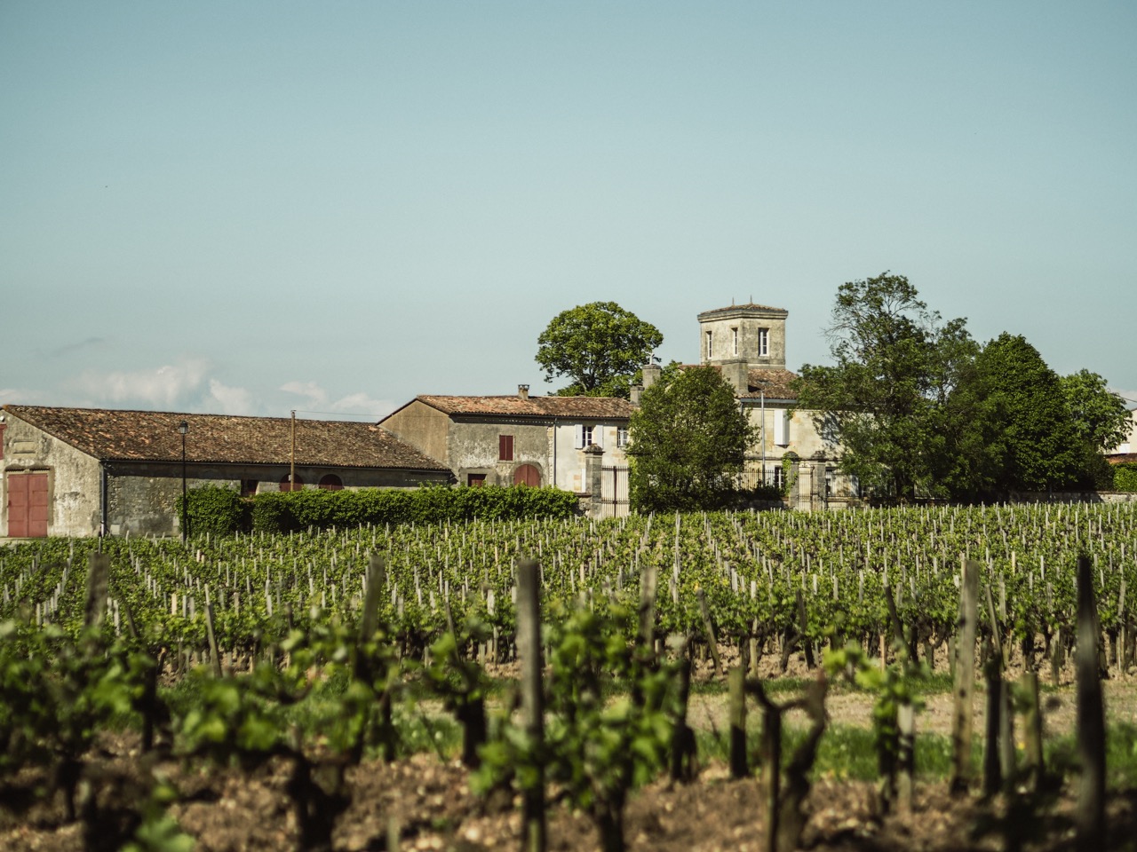 Anseillan - Vinhedos do Château Lafite