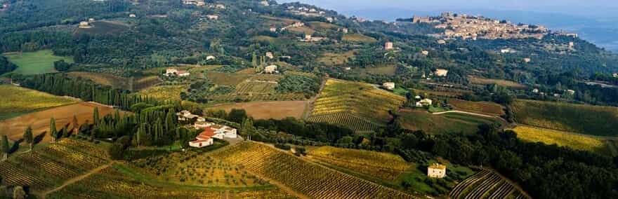 Background Grandes Vinhos Brunello di Montalcino
