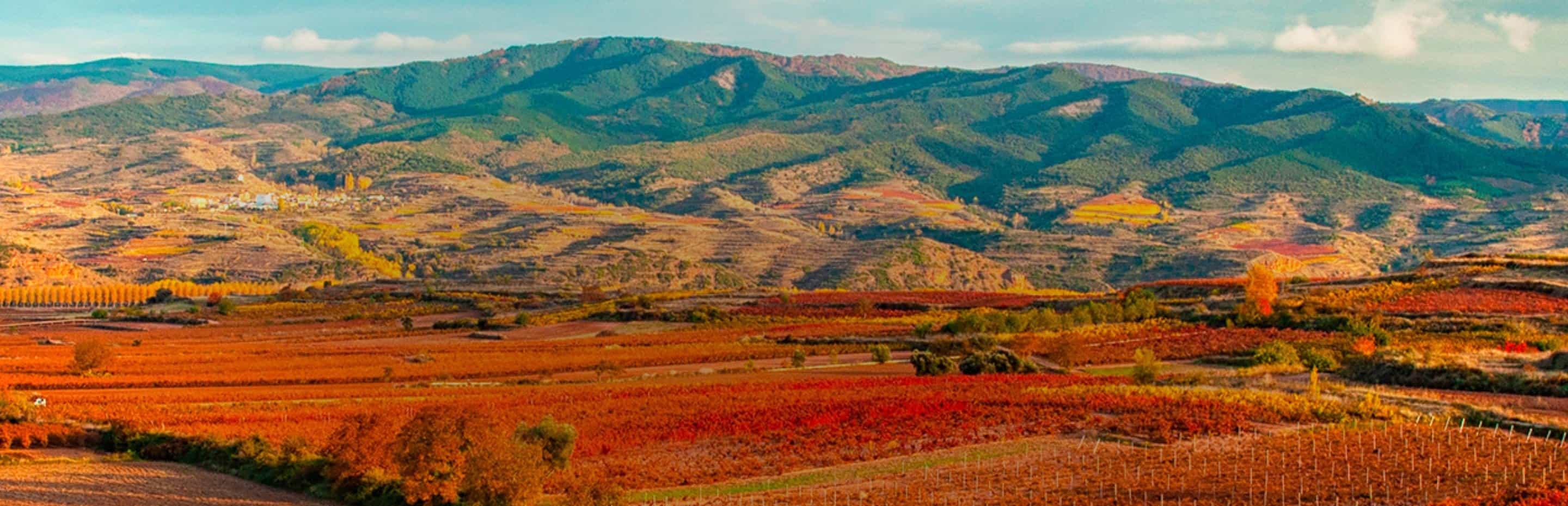 Background Grandes vinhos da Espanha