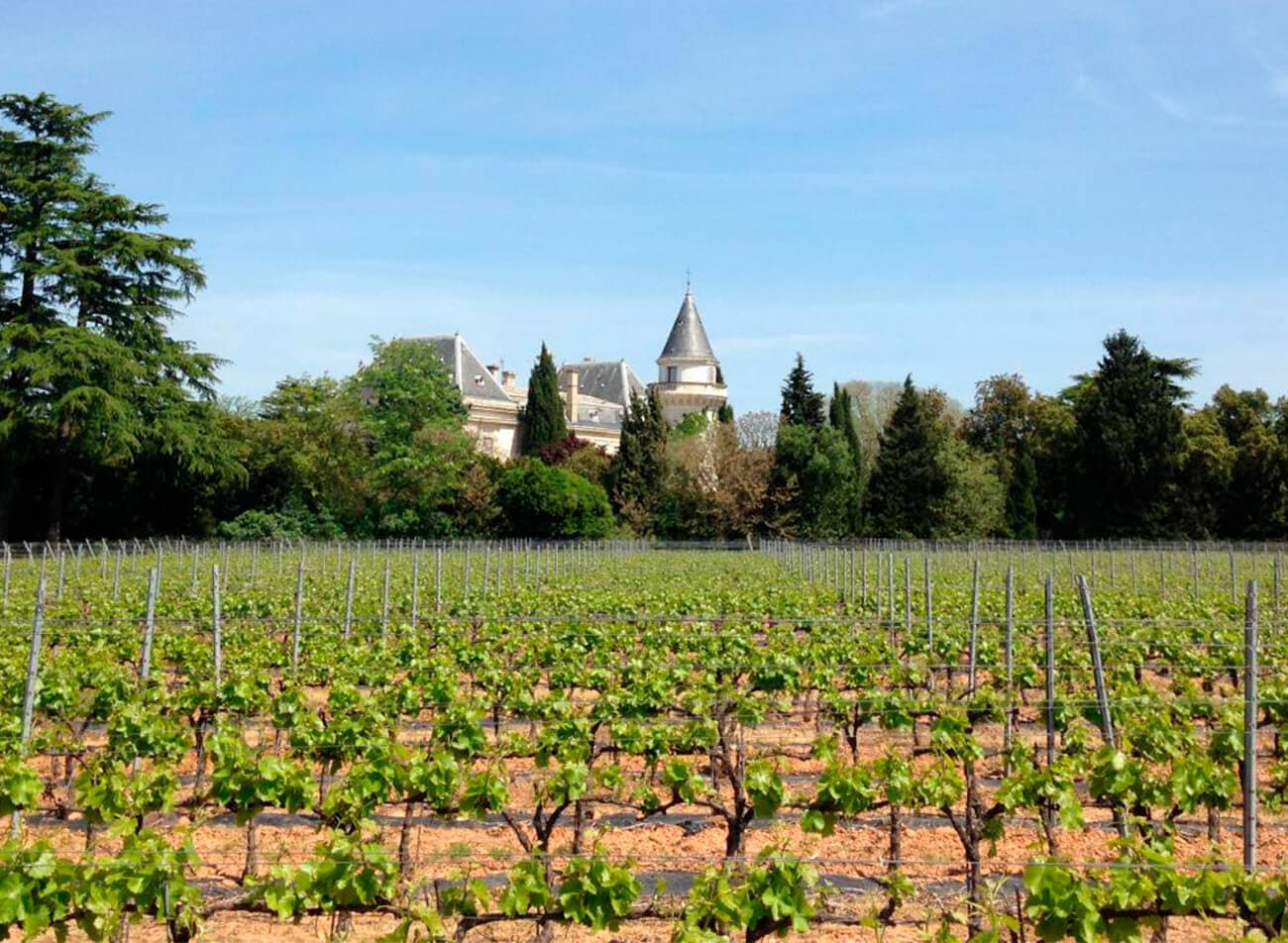 Château De La Tuilerie