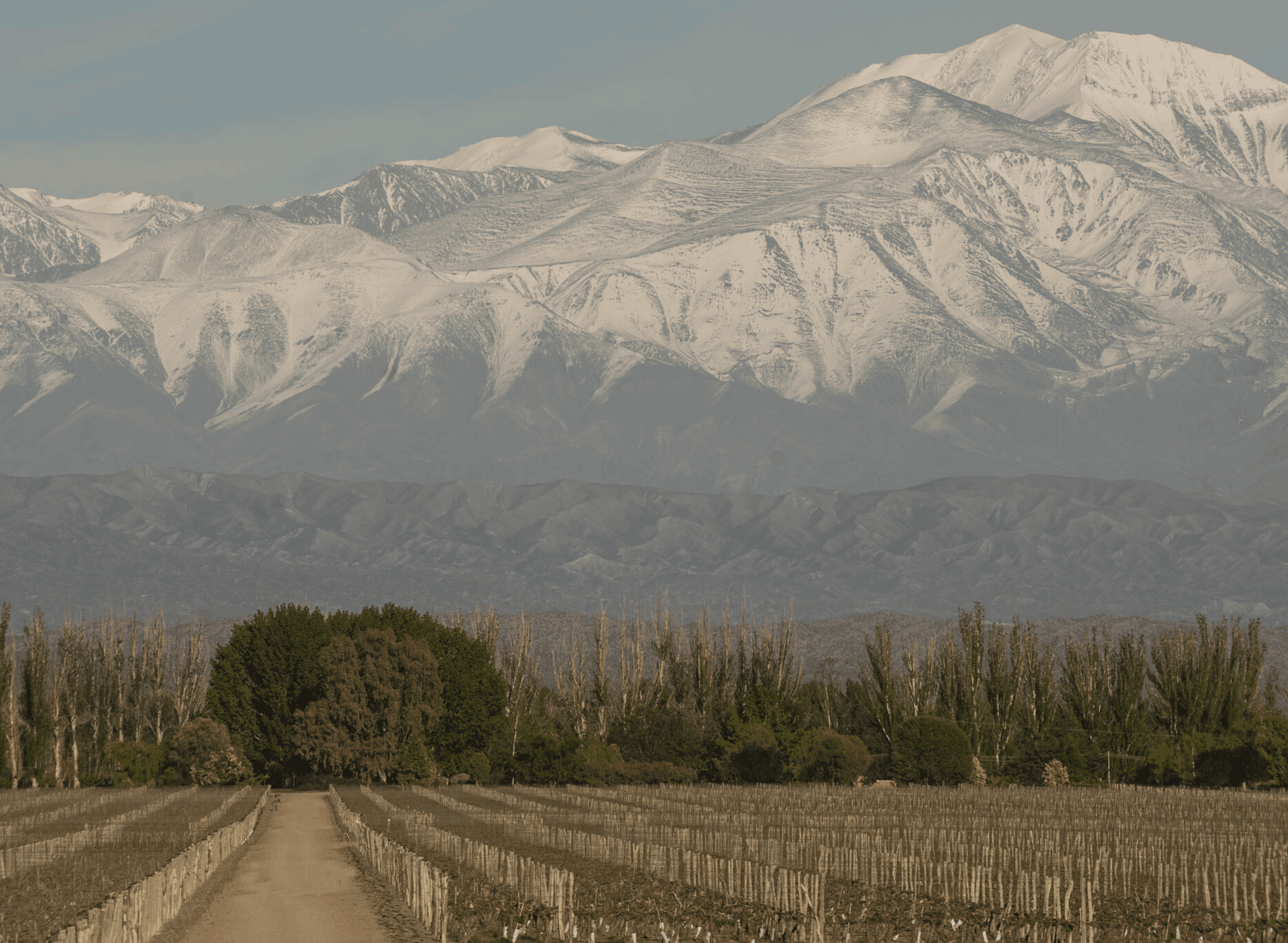 Catena Bodega y Viñedos