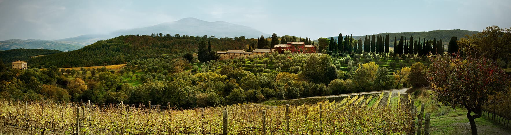 Biondi Santi