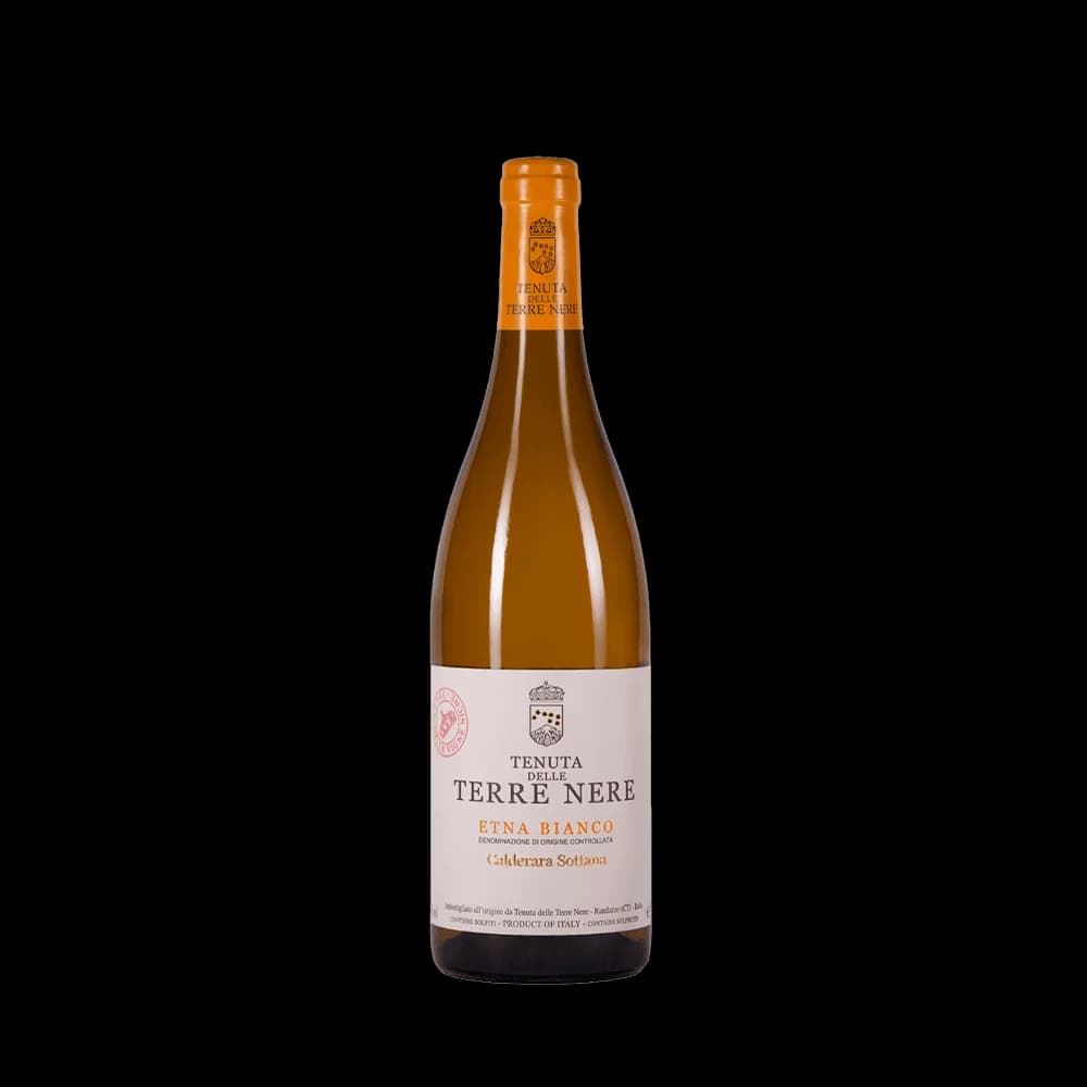 Etna Bianco Calderara Sottana 2020 (Tenuta delle Terre Nere)