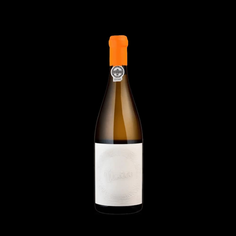 Conceito Único Branco 2019 (Conceito)