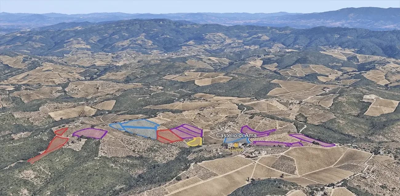 Mapa do terroir - San Lorenzo 2020