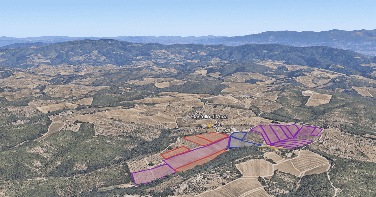 Mapa do terroir - Vigneto Bellavista 2020 - Magnum