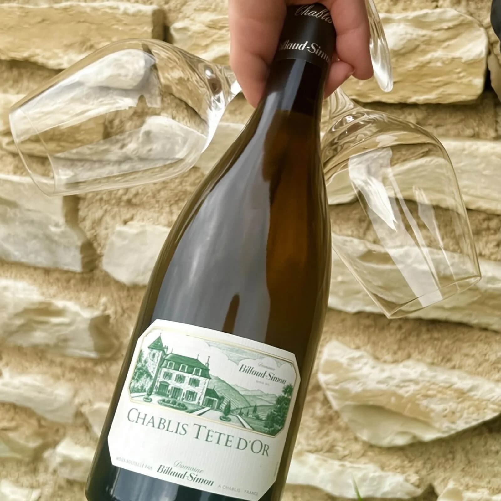 Chablis Tête d’Or 2023