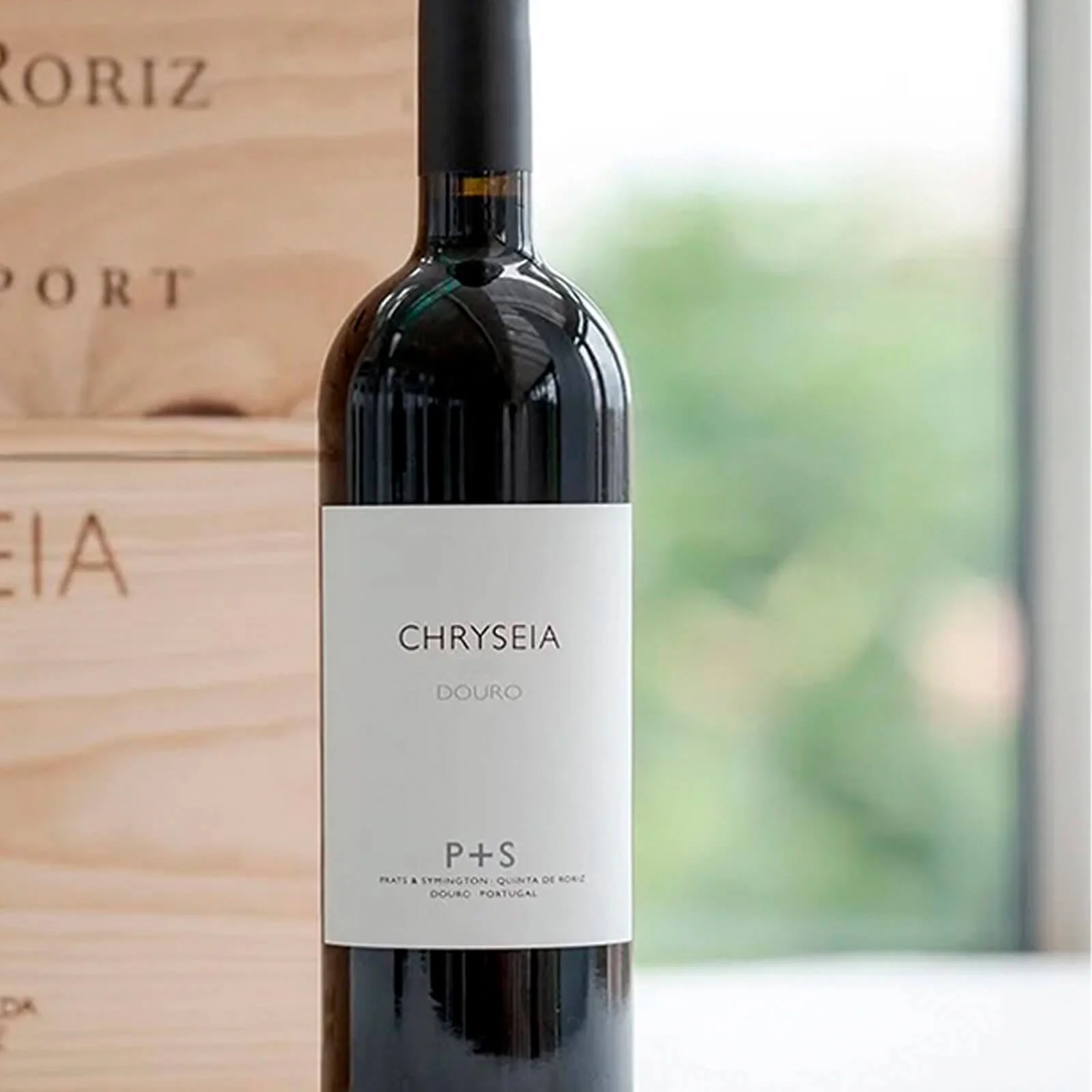 Chryseia 2022