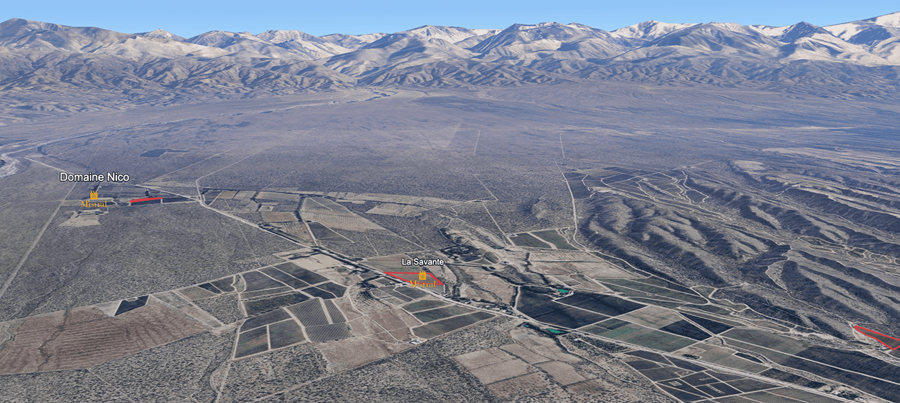 Mapa do terroir - Nico La Savante Pinot Noir 2023