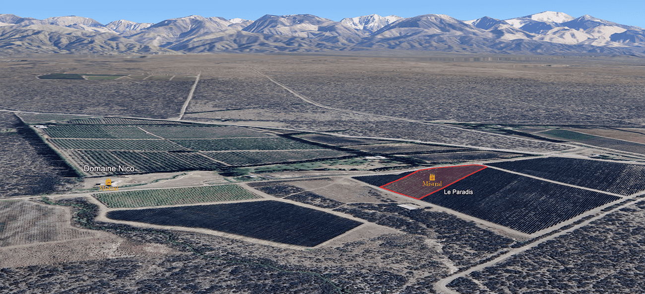 Mapa do terroir - Nico Le Paradis 2020