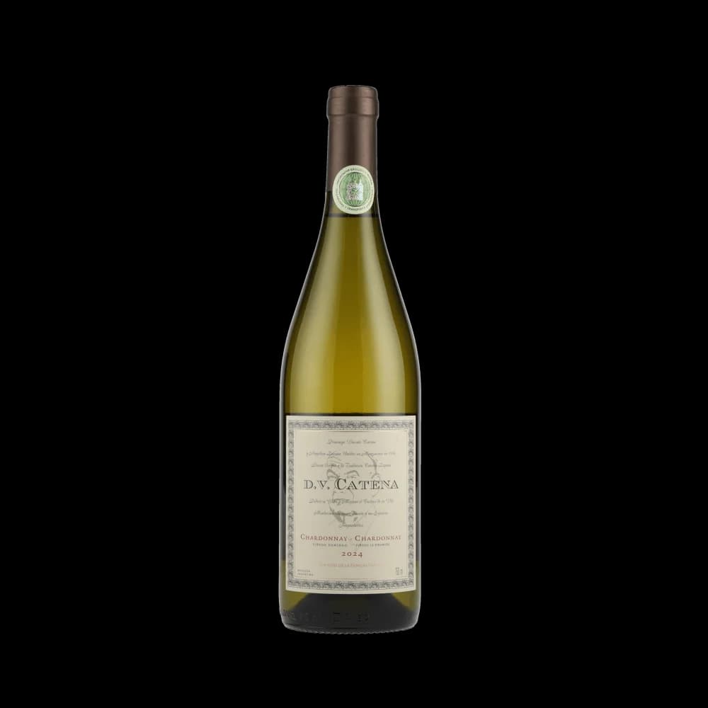 DV Catena Chardonnay-Chardonnay 2024 (Catena Bodega y Viñedos)