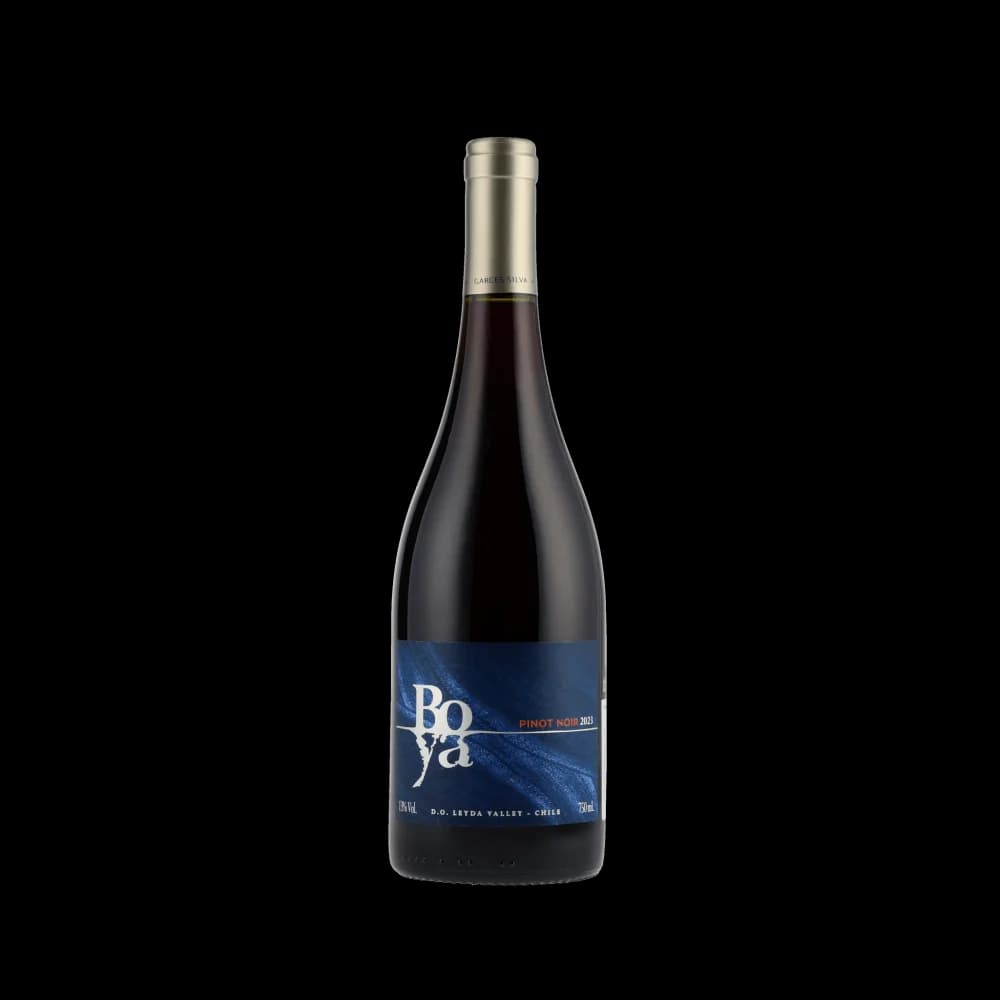 Boya Pinot Noir 2023 (Garcés Silva Family Vineyards)