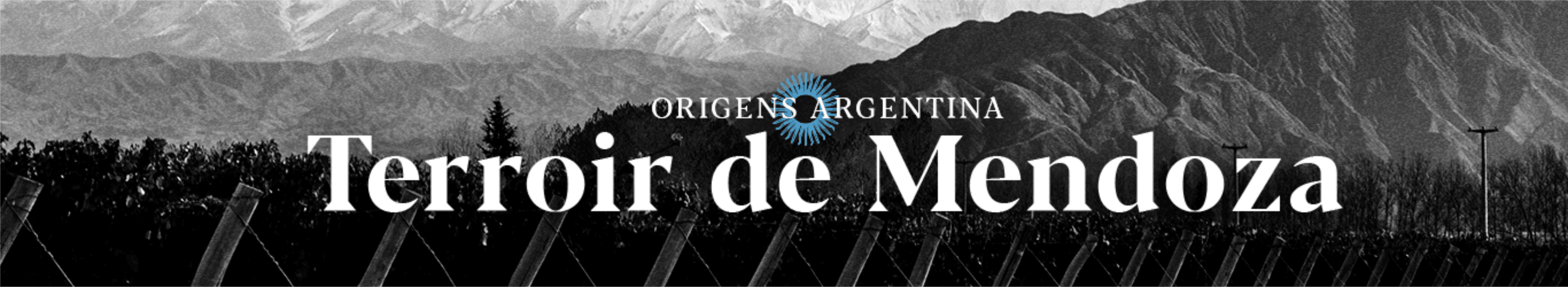 Terroir de Mendoza e Vinhos de Altitude