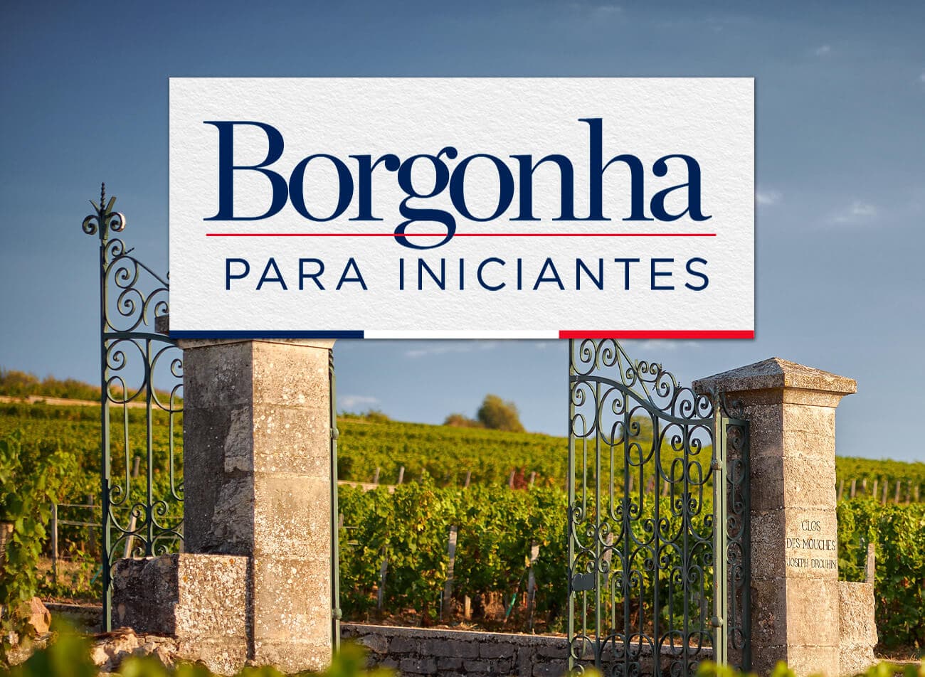 Vinhos da Borgonha para Iniciantes