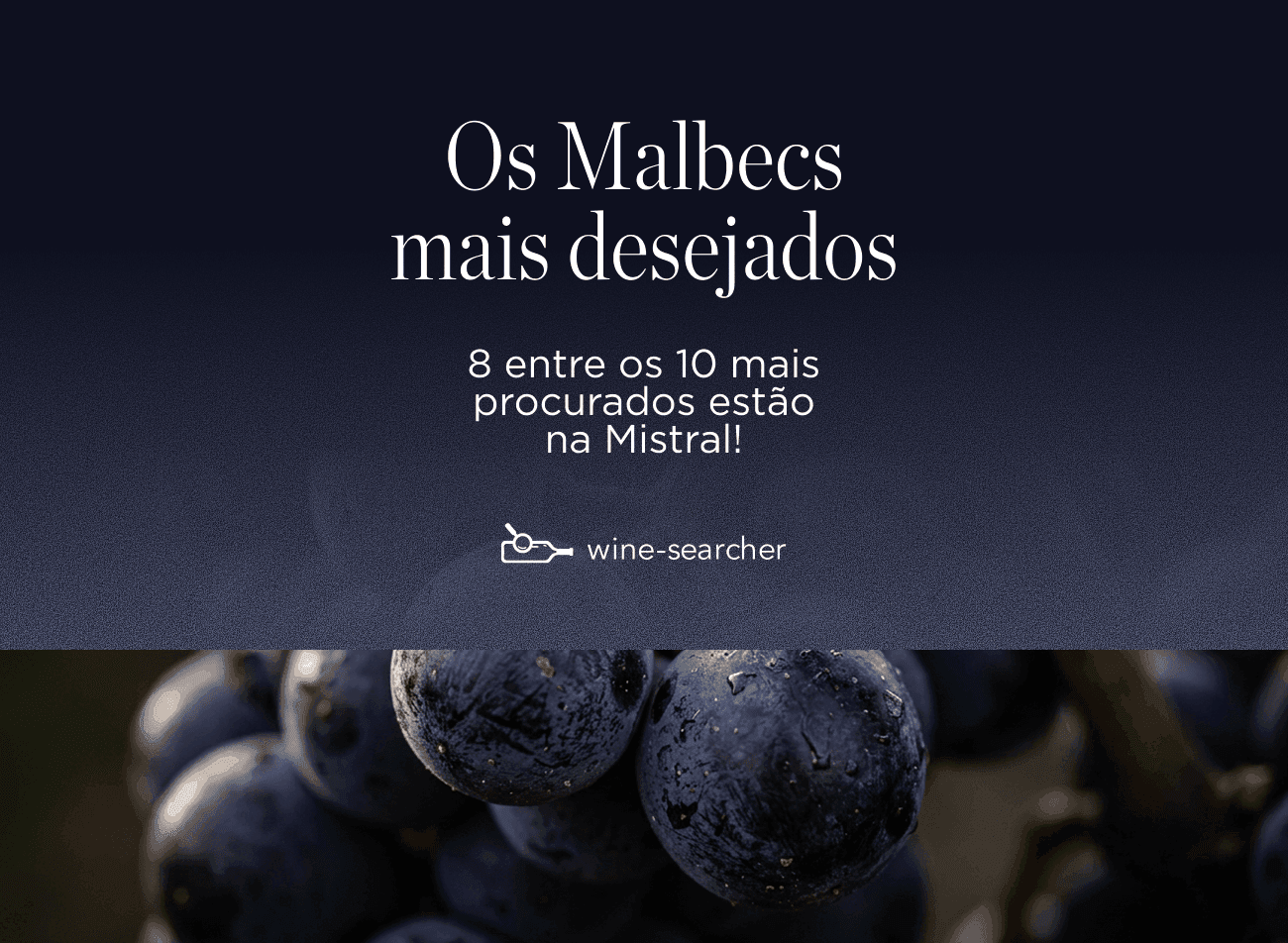 Malbecs mais desejados