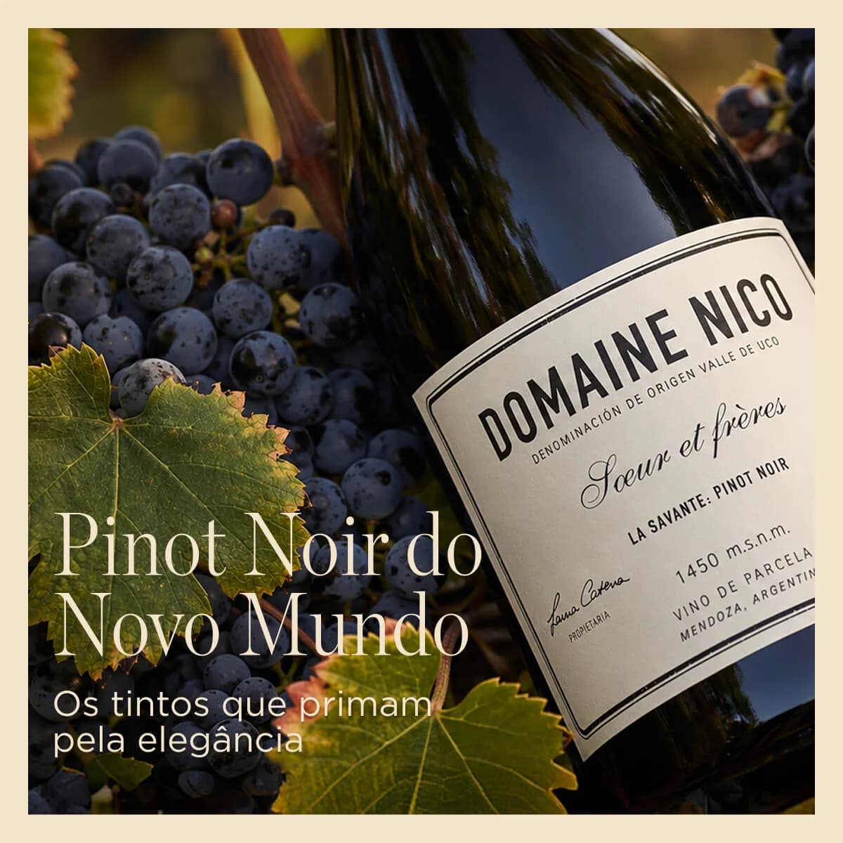 Pinot Noir Novo Mundo