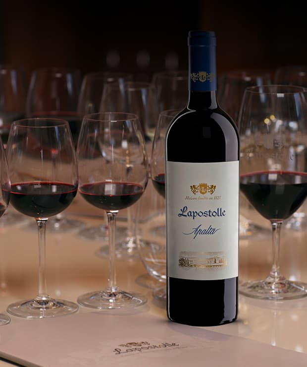 Imagem do vinho Lapostolle Apalta 2021