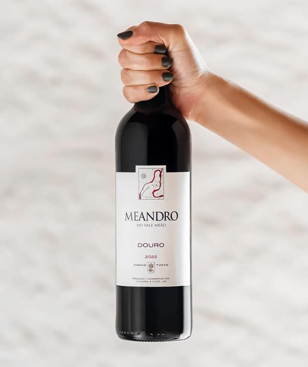 Imagem do vinho Meandro do Vale Meão 2022