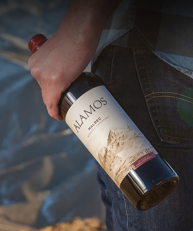 Imagem do vinho Alamos Malbec 2024