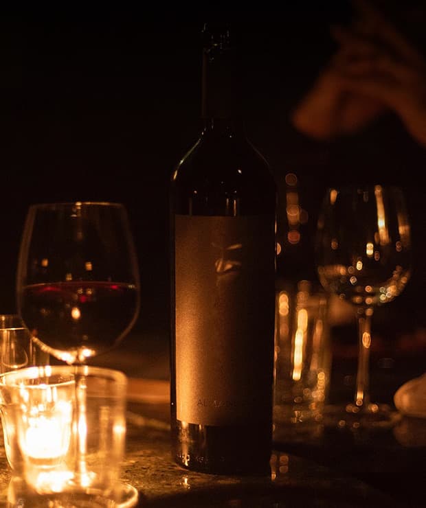 Imagem do vinho Alma Negra M Blend 2023
