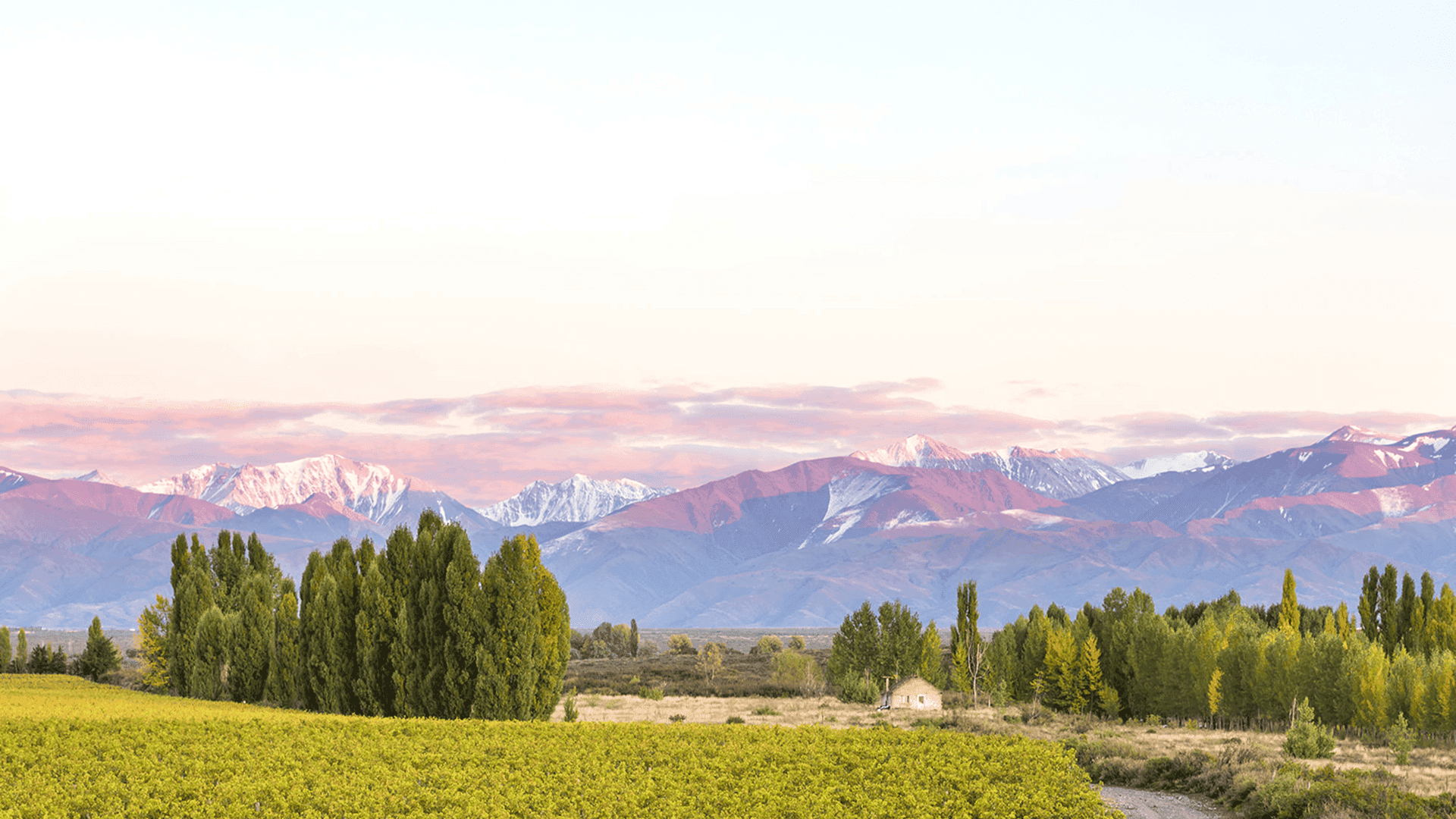 Vista panorâmica da Cordilheira dos Andes e o Vinhedo Adrianna
