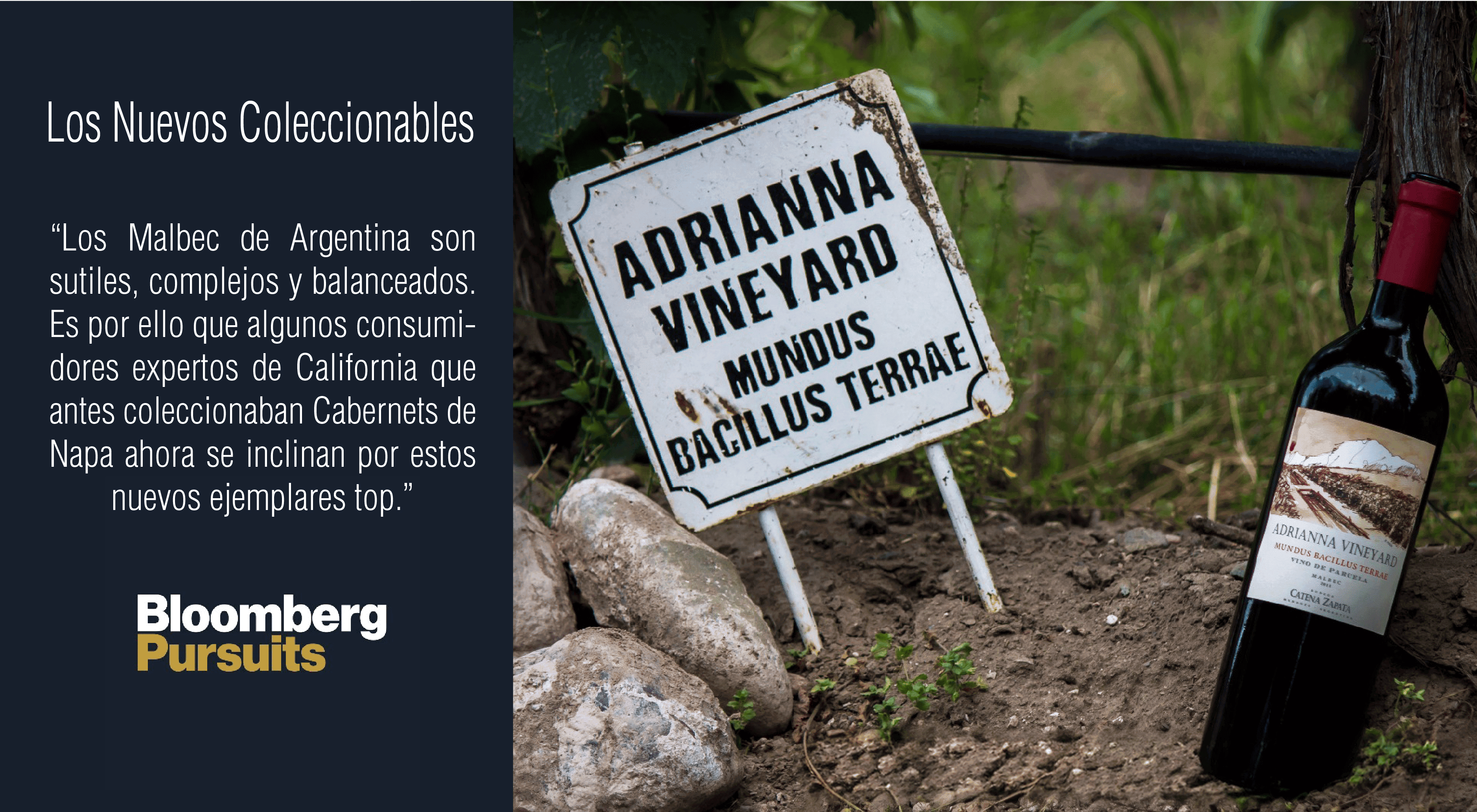 Placa Adrianna Vineyard entre as videiras