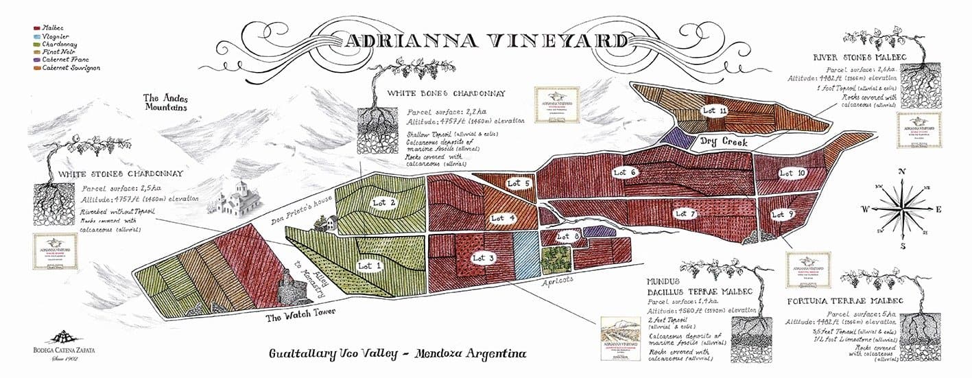 Mapa das parcelas do Vinhedo Adrianna, Gualtallary, Vale do Uco, Mendoza