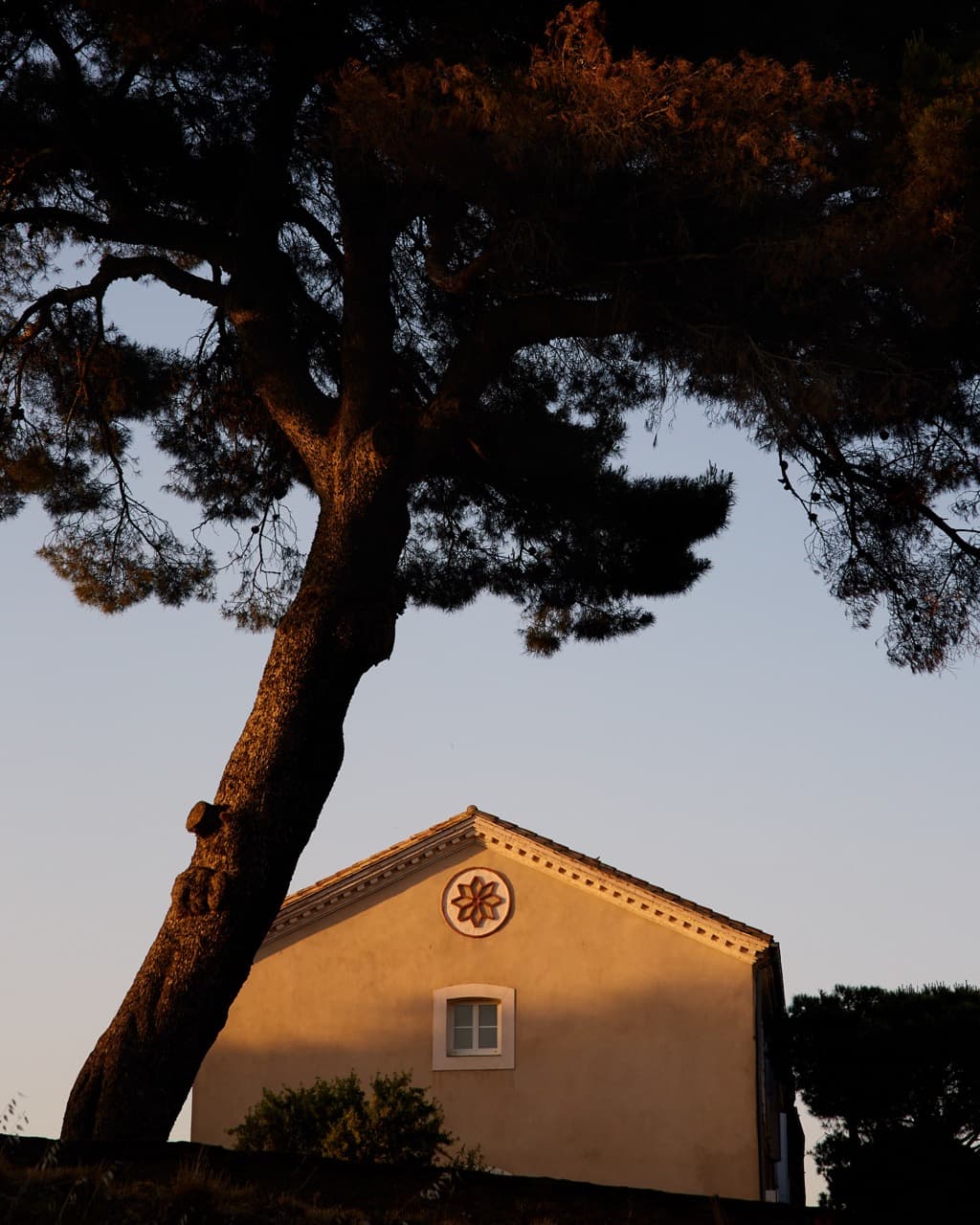 Domaine d'Aussières - Vinhedos e paisagem