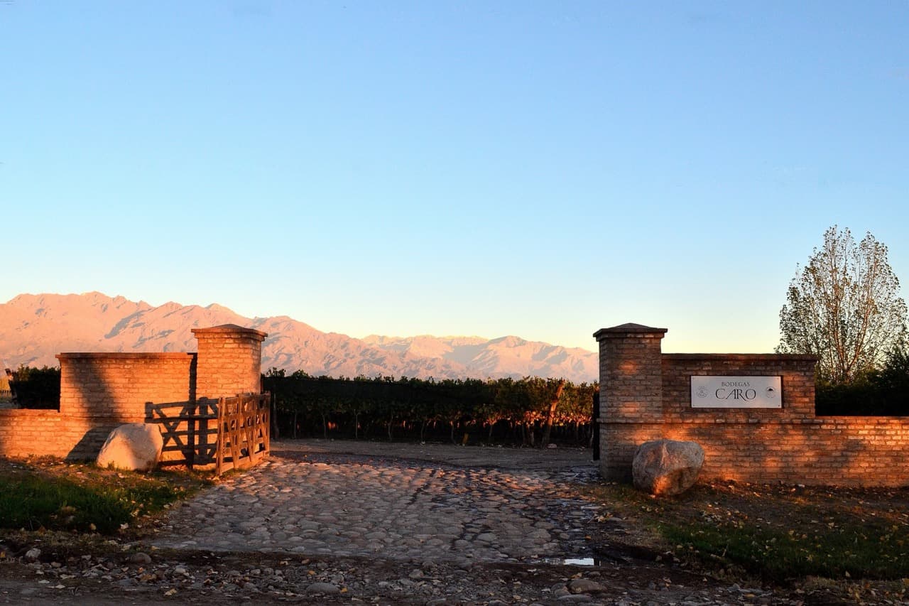Bodegas Caro - Vinhedos no inverno