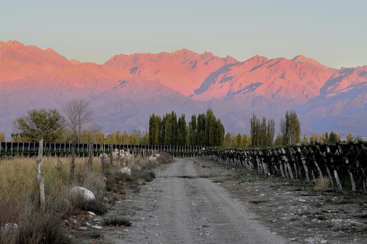 Bodegas Caro - Vinhedos e paisagem