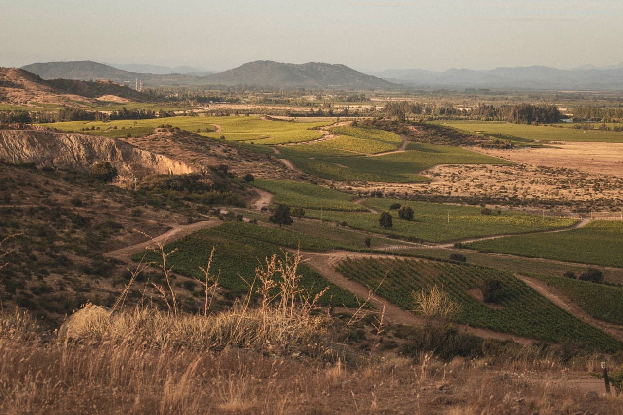Los Vascos - Vinhedos no Vale de Colchagua