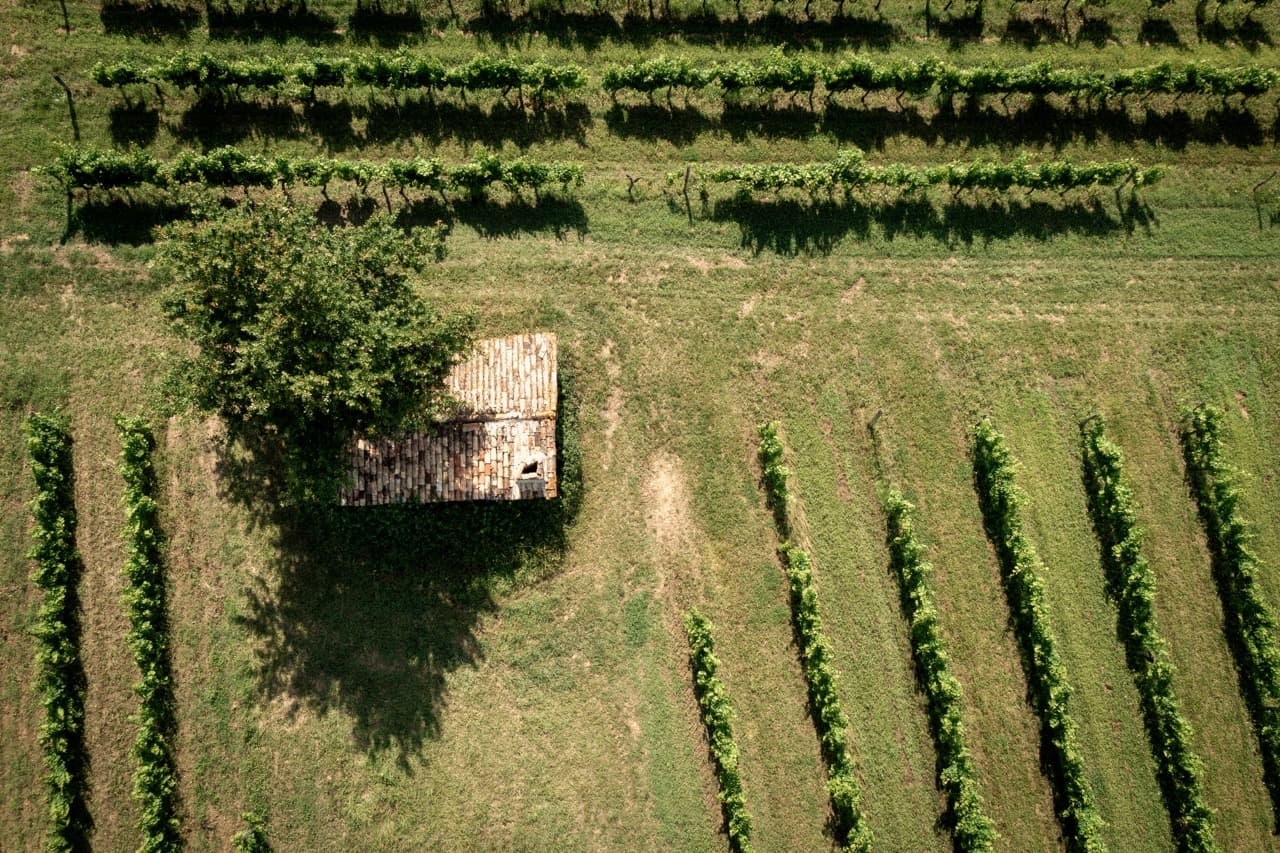 Château Paradis Casseuil - Vinhedos aéreos