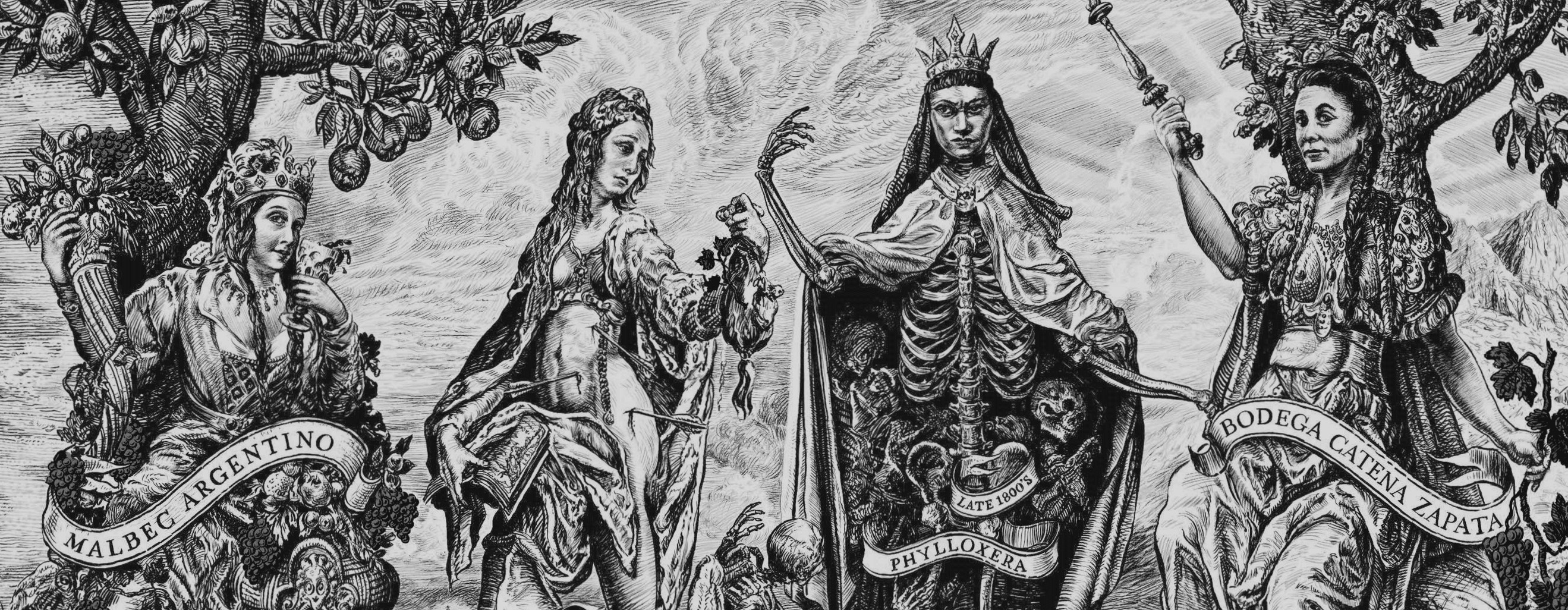 Leonor de Aquitânia e o nascimento da uva Malbec