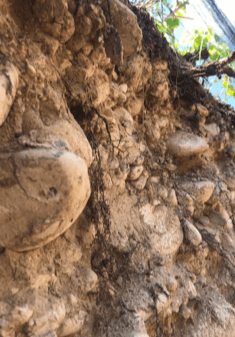 Solo Adrianna Cru - Gualtallary, Vale do Uco