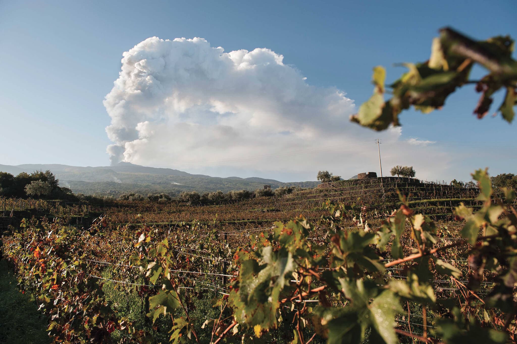 Vinhedos do Etna com nuvens dramáticas e o vulcão ao fundo