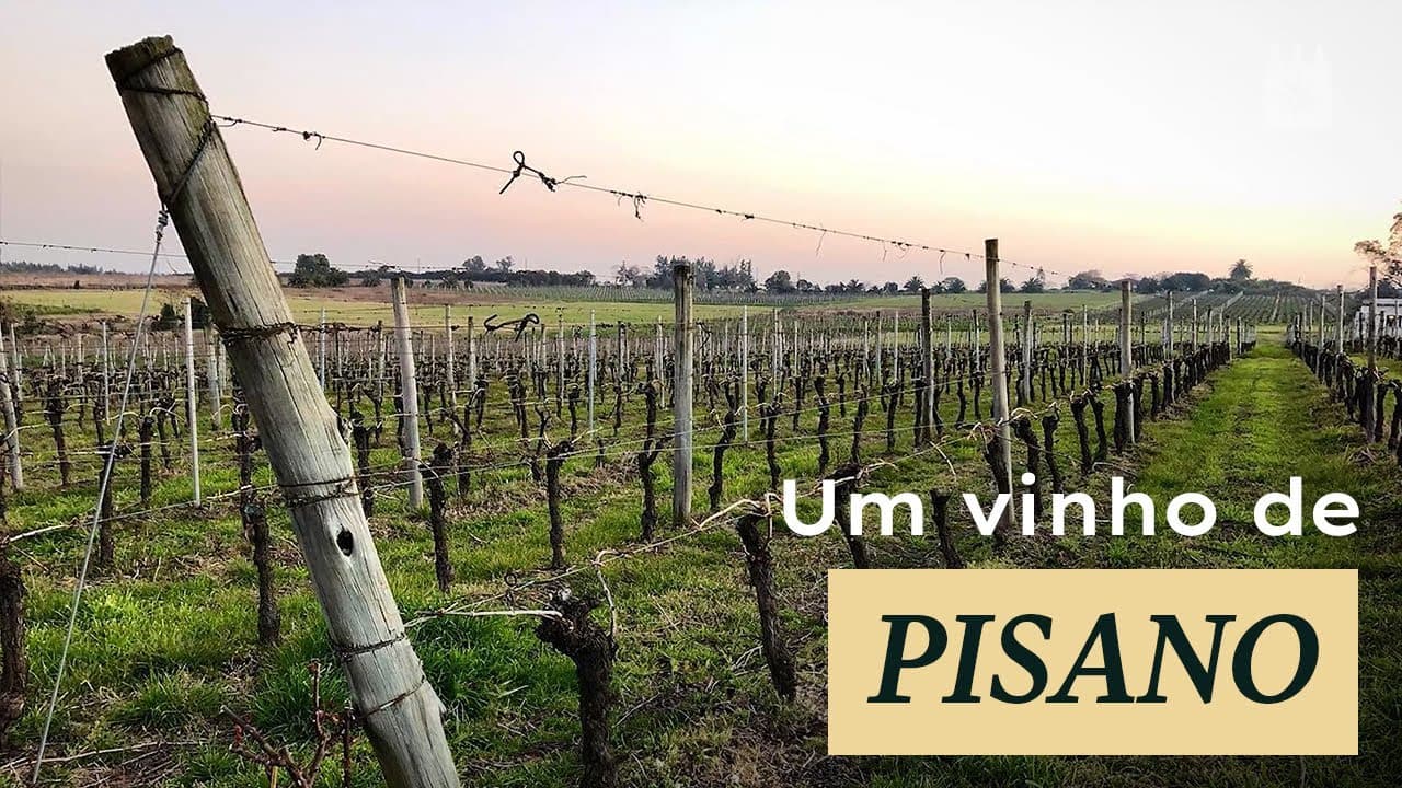 Vídeo do produto - Thumbnail