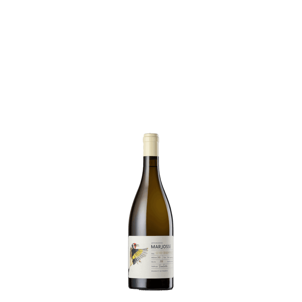 Produto - Imagem 1