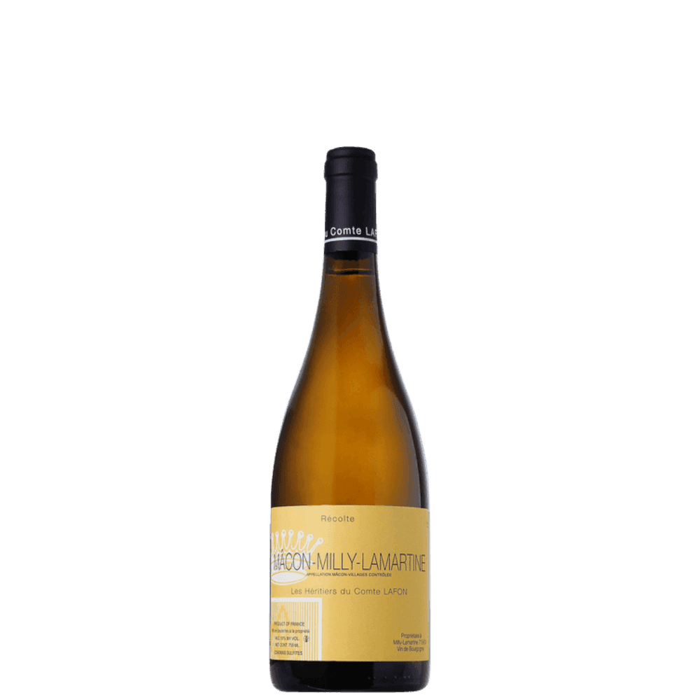 Produto - Imagem 1