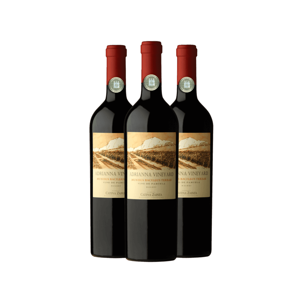 Produto - Imagem 1