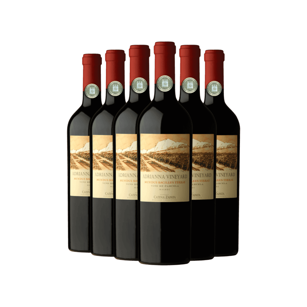 Produto - Imagem 1