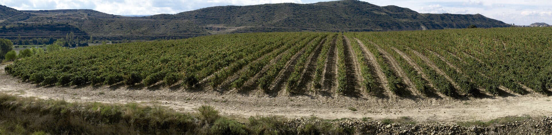 Terra Alta
