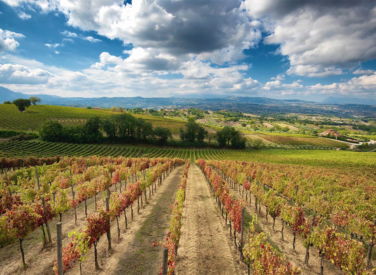 Campania